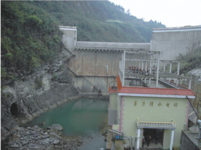 貴沿河縣墨子灣電站大壩、廠房、機(jī)組安裝交鑰匙工程